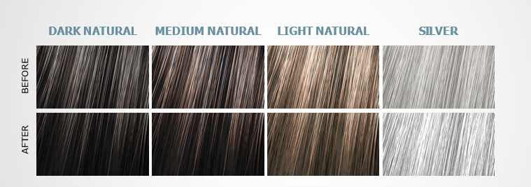 VITALITY'S FOR MAN COLOUR KOLORYZACJA MĘSKA SILVER - obrazek 3